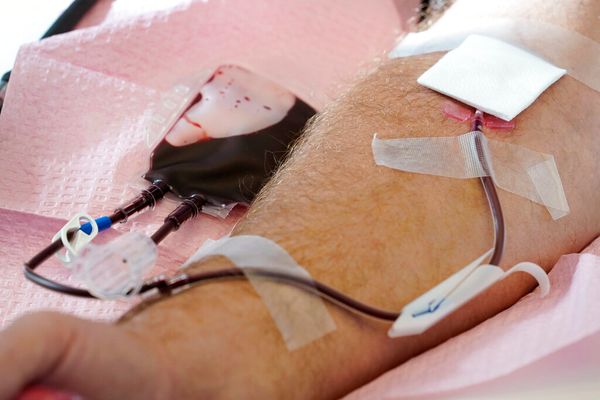 Watch: FDA Moves to Ease Rules for Blood Donations