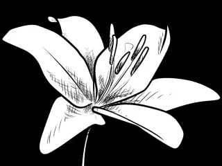 Transmissions: The loss of a mother