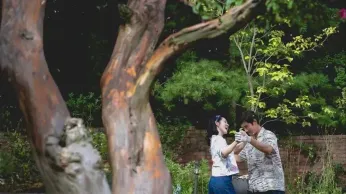 The Korean Satire 'No Other Choice' Is a Masterful Thriller From Park Chan-Wook